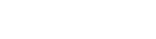 Possible topics include