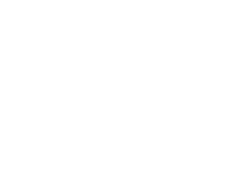 The VIP Experience