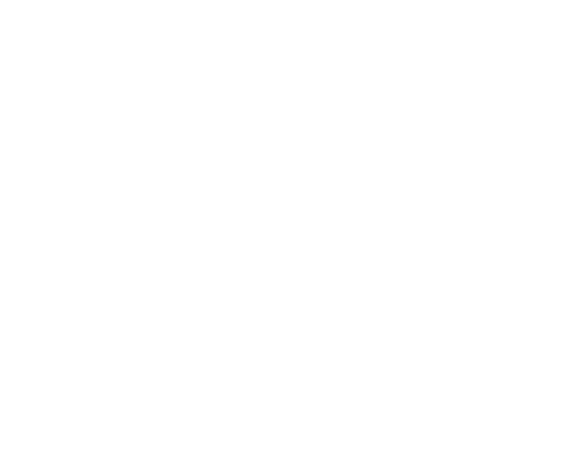 The VIP Experience